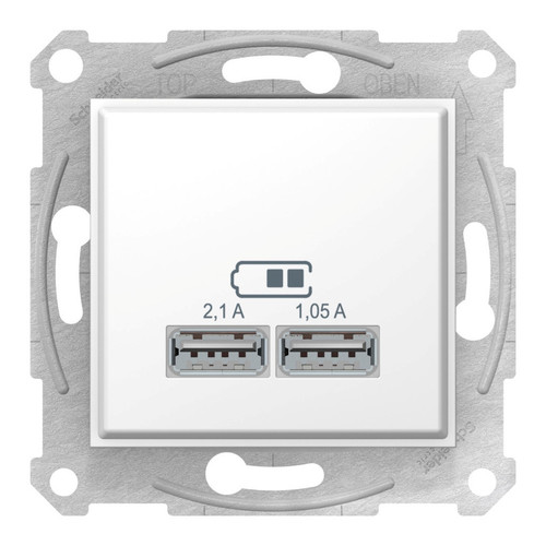 Розетка 2xUSB Schneider Electric SEDNA, белый